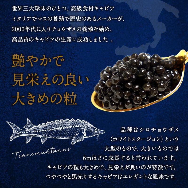 イタリア産 セレストキャビア 18g［冷蔵/冷凍可]【送料無料