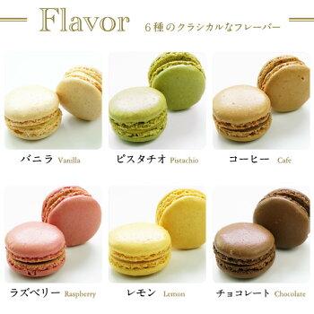 マカロン パスキエ マカロンコレクション BRIOCHE PASQUIER