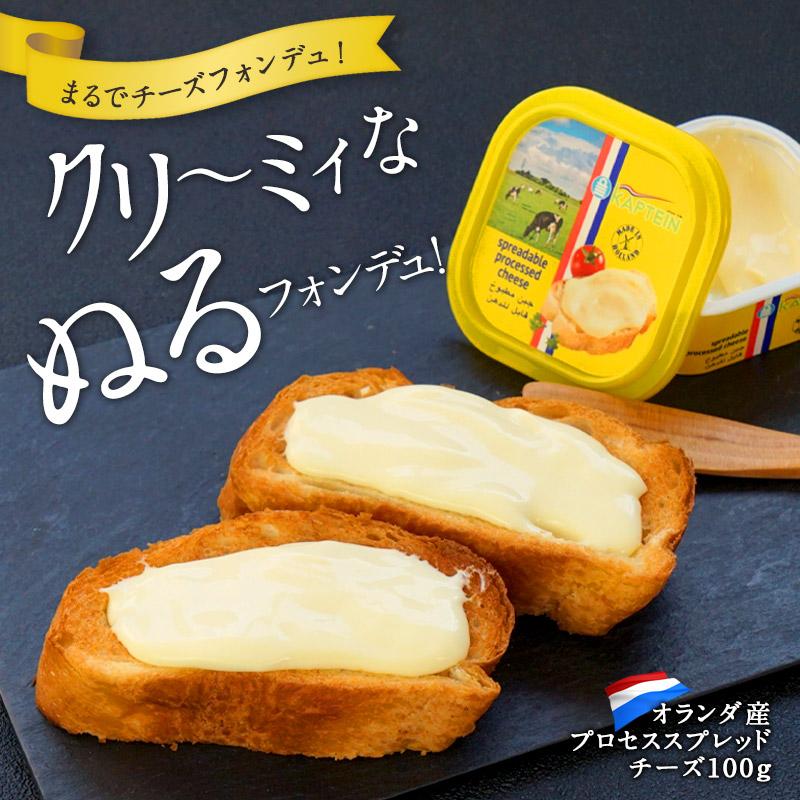 プロセススプレッドチーズ 100g［冷蔵］【3〜4営業日以内に出荷