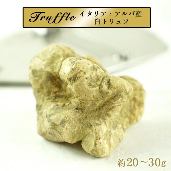 [予約販売][フレッシュ]イタリア・アルバ産 白トリュフ（1P＝約20〜30g）不定貫商品[1，780円/1g再計算]【送料無料】