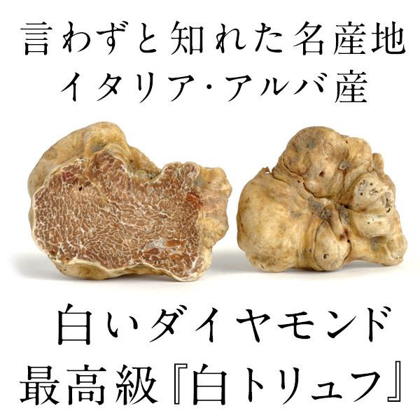 [予約販売][フレッシュ]イタリア・アルバ産 白トリュフ（1P＝約20〜30g）不定貫商品[1，780円/1g再計算]【送料無料】 