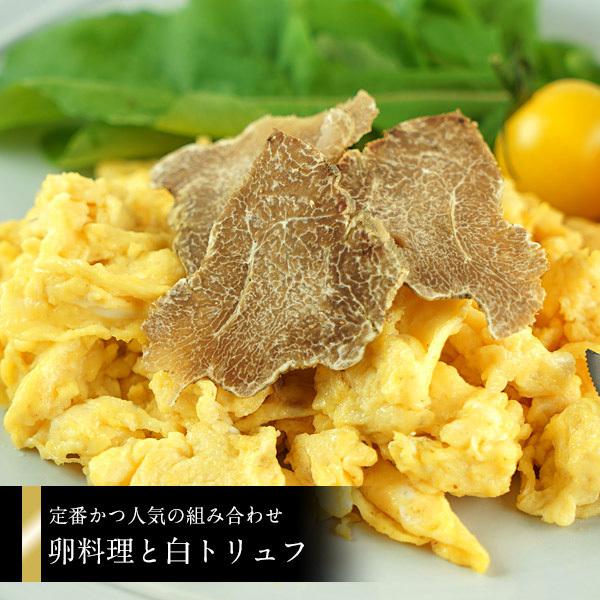 [予約販売][フレッシュ]イタリア・アルバ産 白トリュフ（1P＝約20〜30g）不定貫商品[1，780円/1g再計算]【送料無料】 