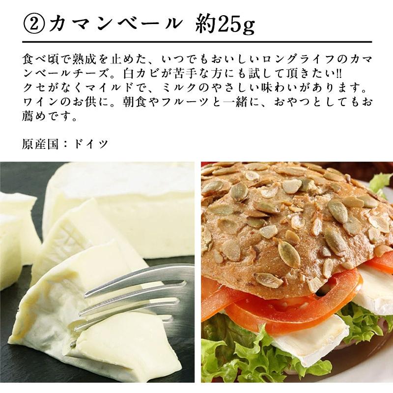 6種チーズプレートコレクション 約150g（約25g×6種）［賞味期限：お