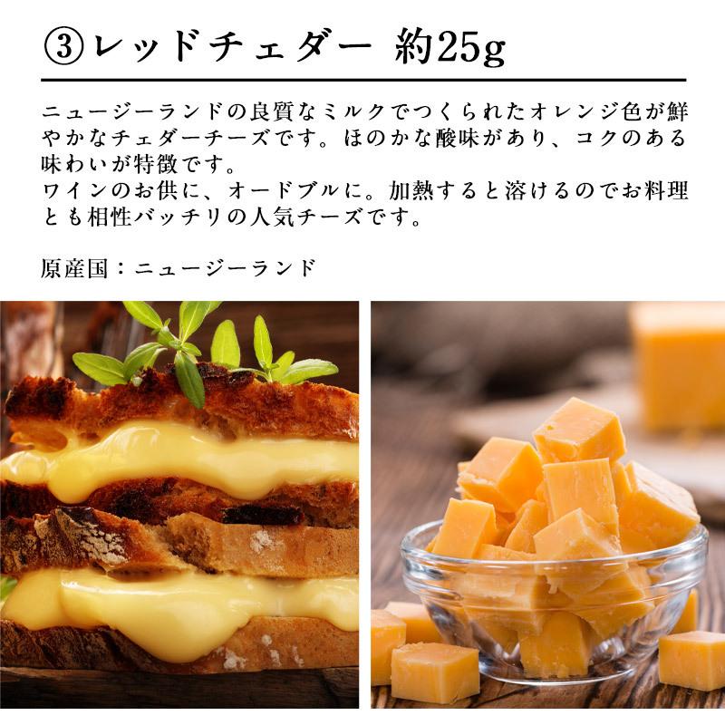 6種チーズプレートコレクション 約150g（約25g×6種）［賞味期限：お
