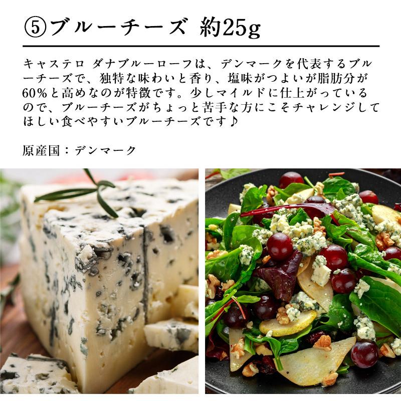 6種チーズプレートコレクション 約150g（約25g×6種）［賞味期限：お