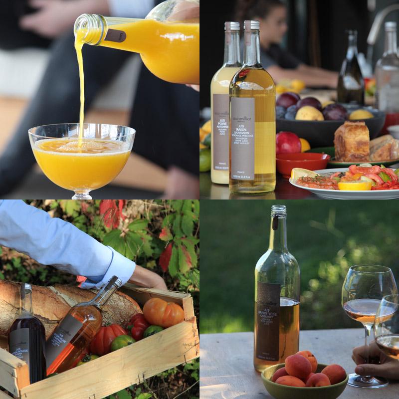 アラン・ミリア ジュース ネクター 330ml ギフト 選べる5本セット