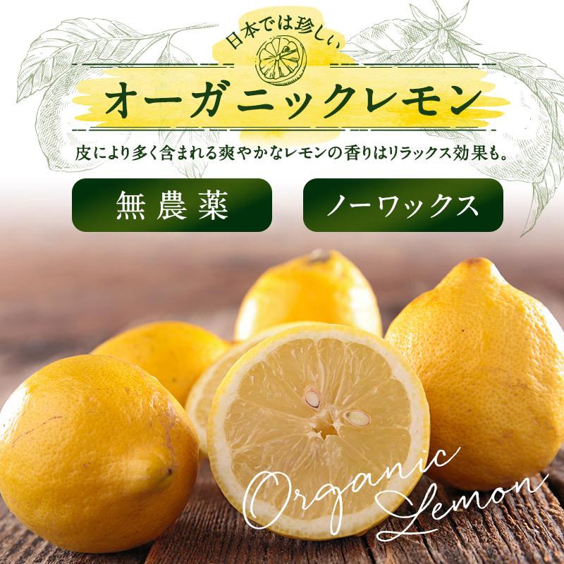 シチリア産 レモン 冷凍 500g クシ切り1/6 有機 オーガニック［冷凍