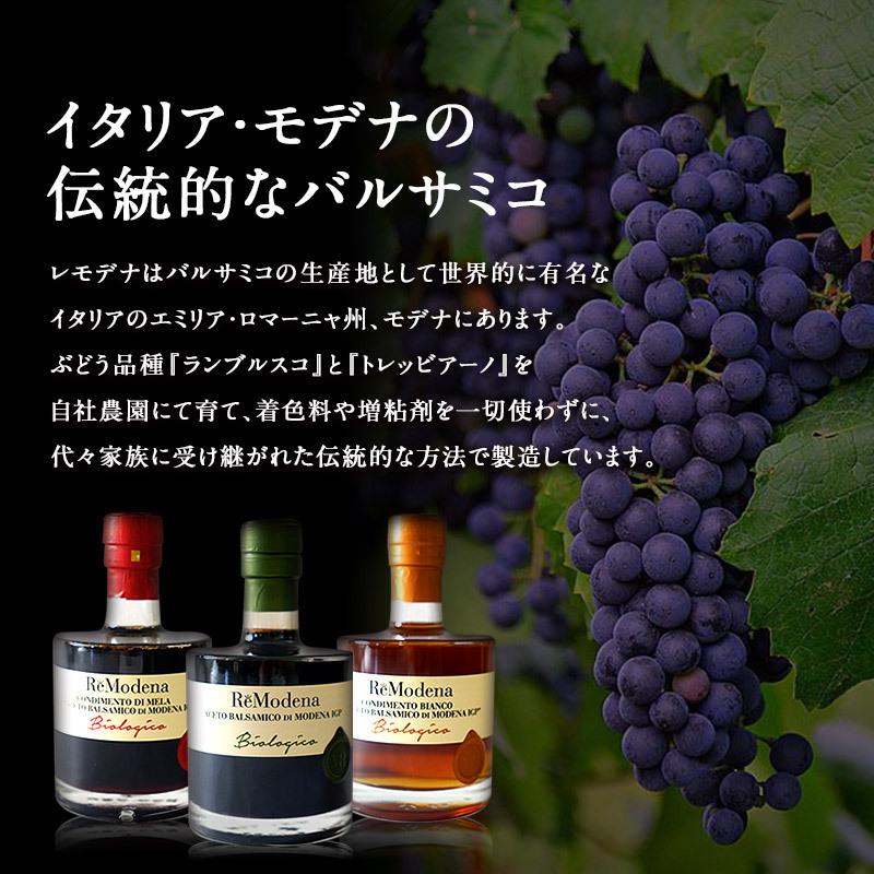 ReModena（レモデナ）オーガニック ホワイトバルサミコ モデナ 250ml