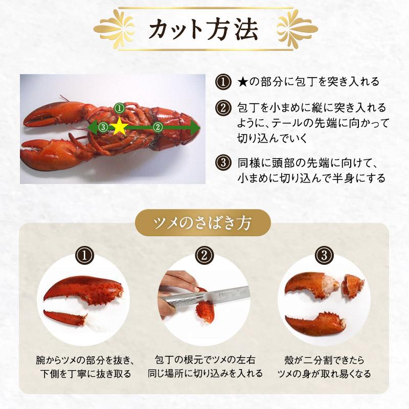 絶品】 カナダ産 ボイル オマール海老 約350g 冷凍のみ ボイル済みオマール海老 350〜400g 4尾セット