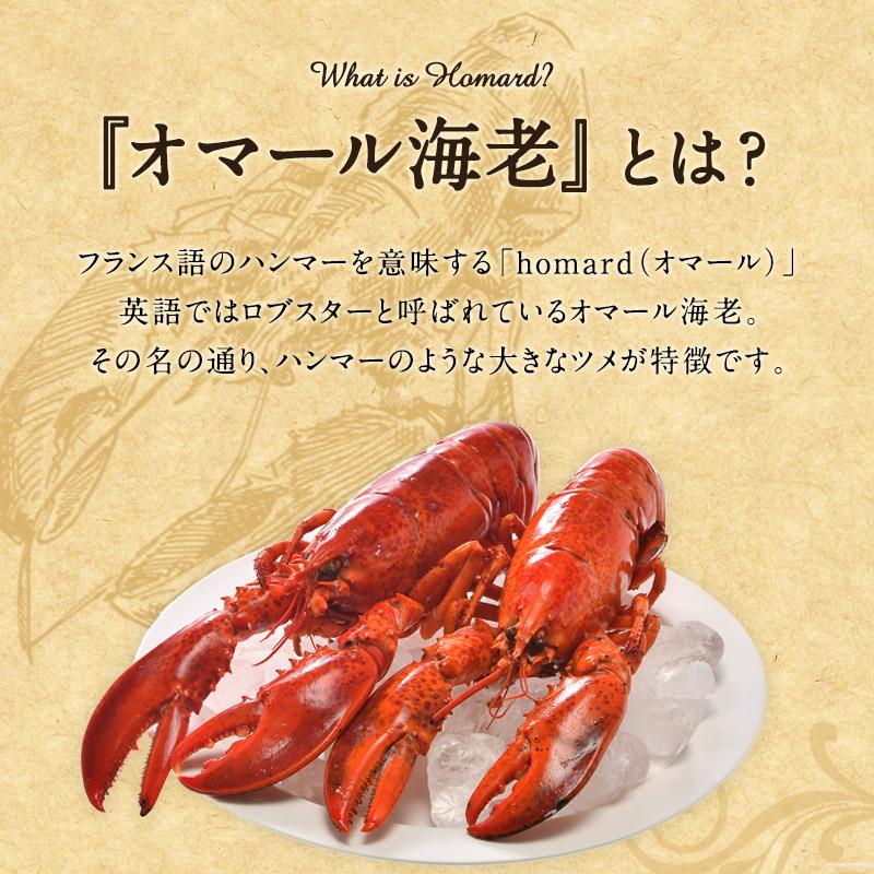 カナダ産 ボイル オマール海老 約350g×2尾［冷凍］｜cerest｜02