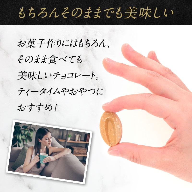 VALRHONA チョコレート フェーブ インスピレーション フレーズ 37