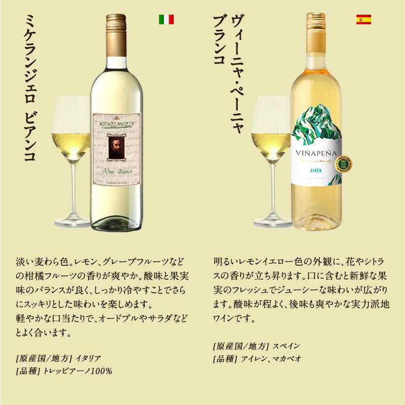 白ワイン好きのための 厳選 辛口 白ワイン 12本 セット [W 白ワイン好きのための 厳選 辛口 白ワイン 12本 セット [W