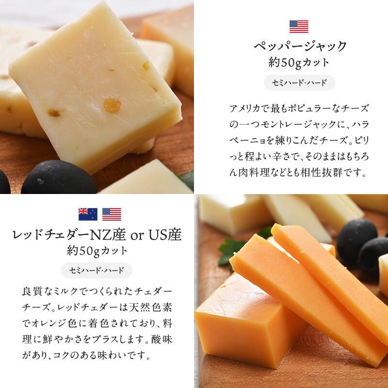世界8か国10種のチーズ アソート 約50g×10種セット ［冷蔵のみ］【3〜4