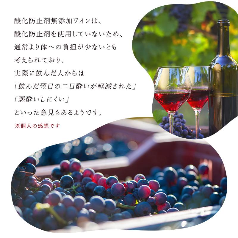 お試し 酸化防止剤無添加ワイン ピッツォラート 赤ワイン 3本 セット