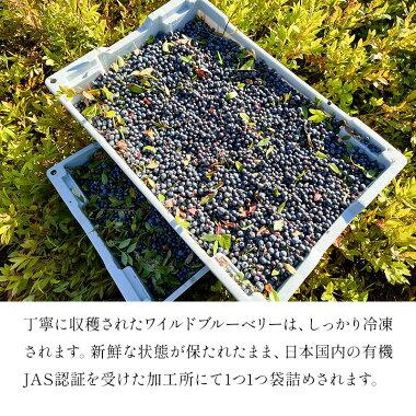 冷凍フルーツ］ オーガニック ワイルド 冷凍ブルーベリー 2kg (1kg×2袋
