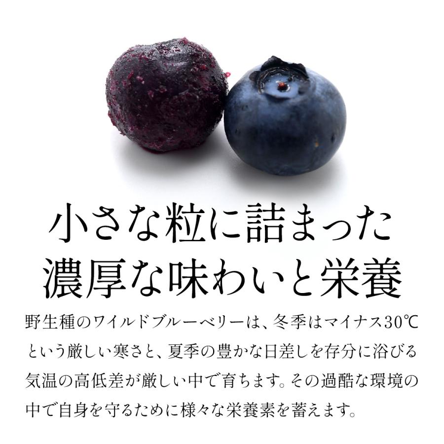 ブルーベリー 冷凍 冷凍フルーツ オーガニックブルーベリー 3kg (1kg×3