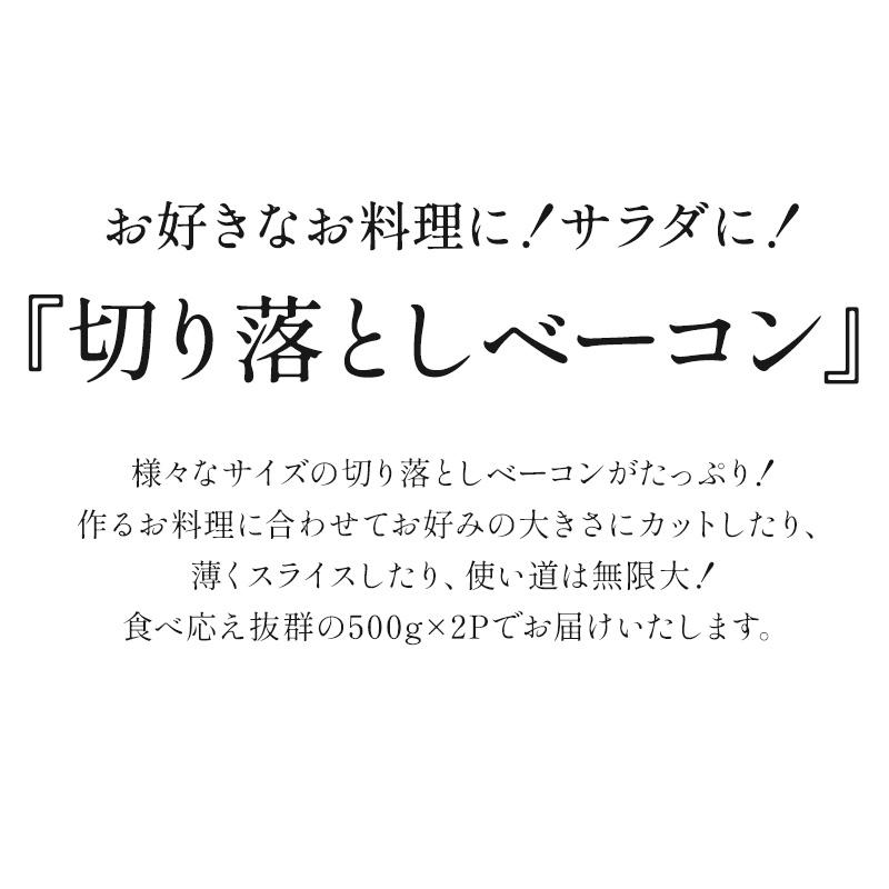 生ベーコンエンド切り落とし 500g×2P［冷凍］【3〜4営業日以内に出荷】 |  | 02