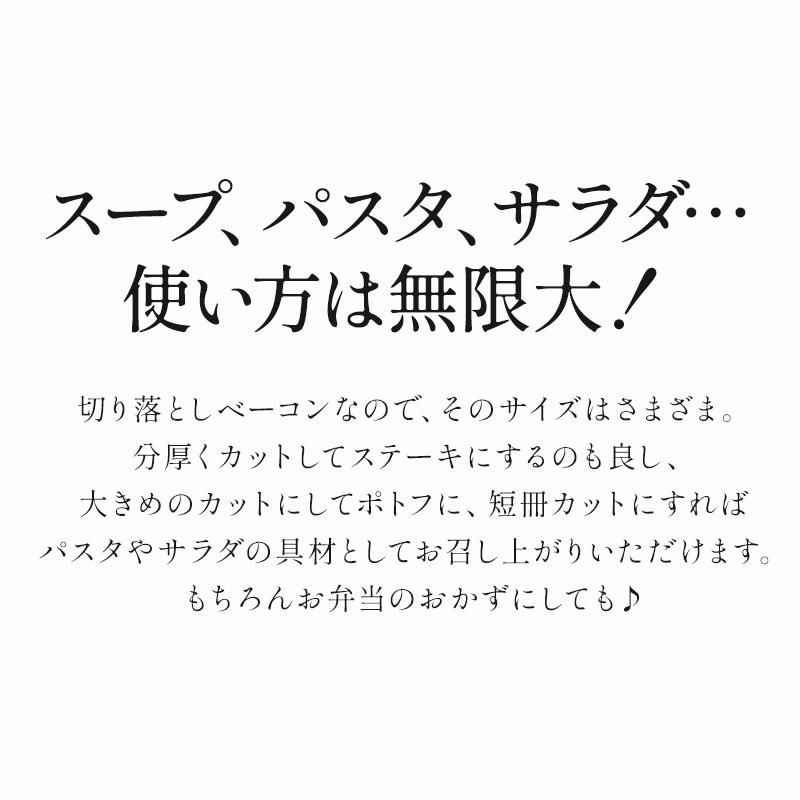 生ベーコンエンド切り落とし 500g×2P［冷凍］【3〜4営業日以内に出荷】 |  | 04