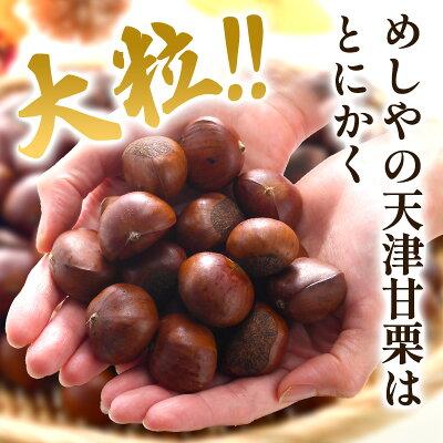 天津甘栗 焼き栗 2kg (1kg×2袋) 【送料無料】［常温/全温度帯可］【3