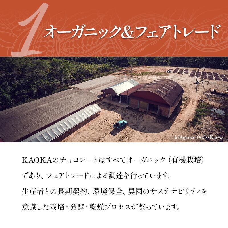 KAOKA リオアリバ70% 1kg オーガニック ダークチョコレート 有機JAS