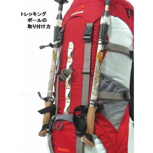 セロトーレ CT1602 スプリンガー（インクブルー、レッド
