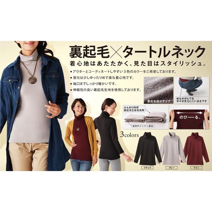 CERVIN（セルヴァン） 裏起毛あたたかタートルネック : 健康いきいき 