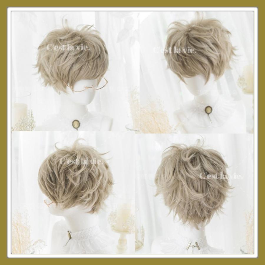 ウィッグ メンズ ミディアム カール ヘアー ブロンズ 自然 医療用 ネット付 1mmdw09 033 Cest La Vie 通販 Yahoo ショッピング