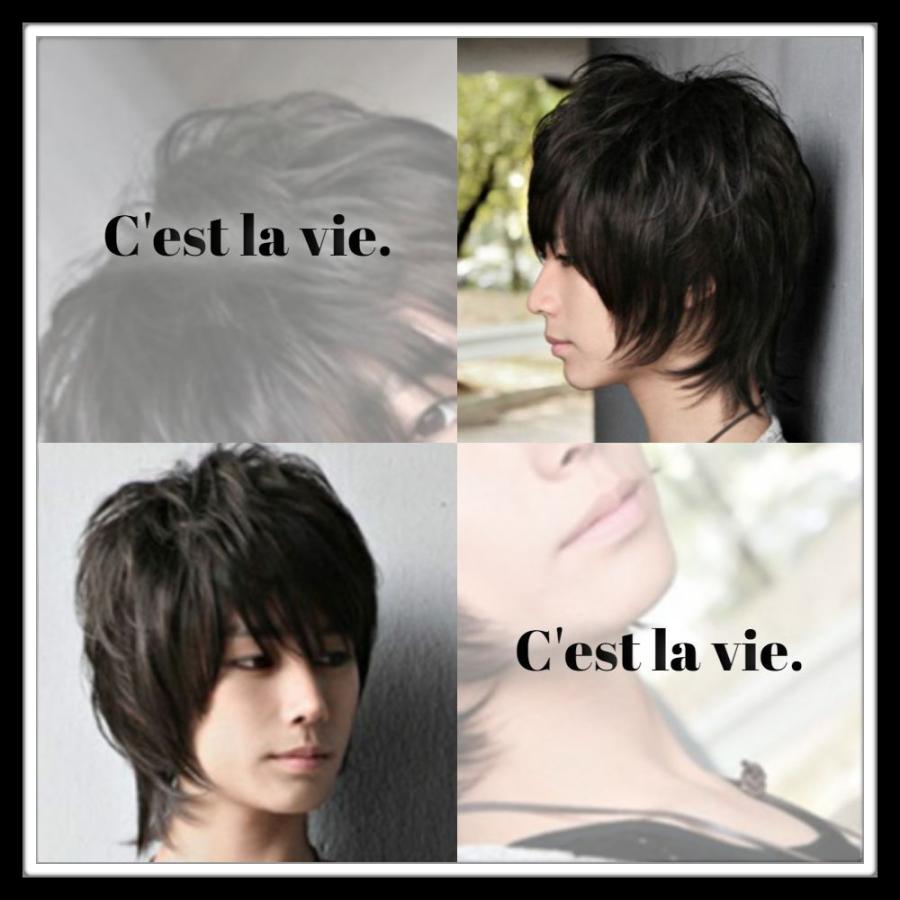 ウィッグ メンズ ミディアム ウルフカット ダークブラウン 自然 医療用 ネット付 1msts02 079 Cest La Vie 通販 Yahoo ショッピング