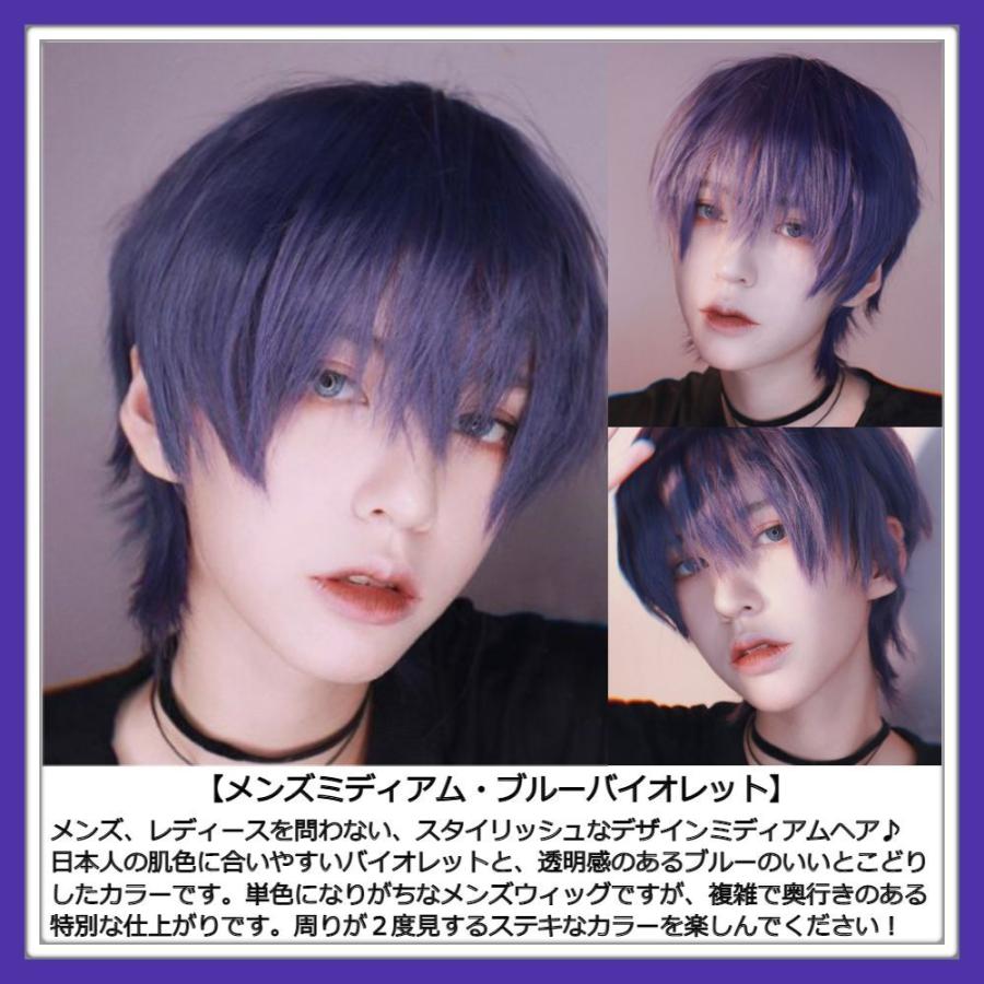 まとめ買い ウィッグ メンズ ミディアム ブルー バイオレット 自然 医療用 ネット付 Aynaelda Com