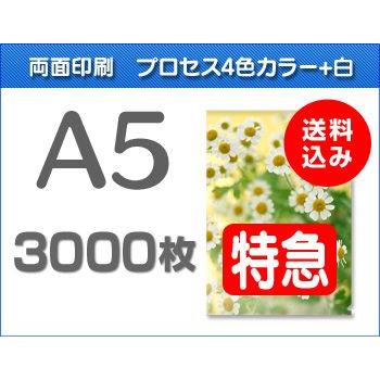 A5クリアファイル印刷【特急便】3000枚