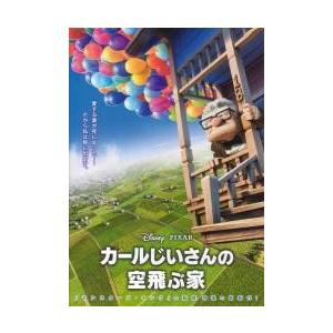 映画チラシ／カールじいさんの空飛ぶ家　（ディズニー/ピクサー）　Ｂ　2折｜cfs2001nen