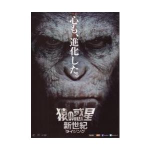 専門店では 映画チラシ／猿の惑星 新世紀ライジング Ａ 猿顔アップ一面