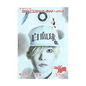 映画チラシ／ はたらく細胞 （永野芽郁、佐藤健/実写）A 両面/顔