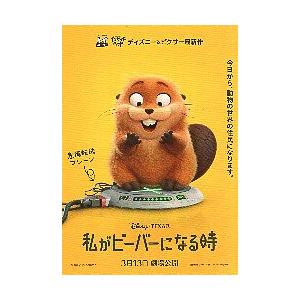 映画チラシ／ 私がビーバーになる時 A 黄色 : シネマフリークショップ