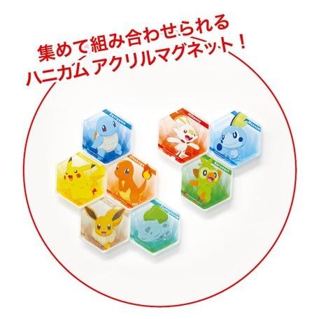 ポケモン マグネット ピンバッジ 2019 ポケモン 缶バッジ ピンバッジ ポケモンセンター 1999年公式品