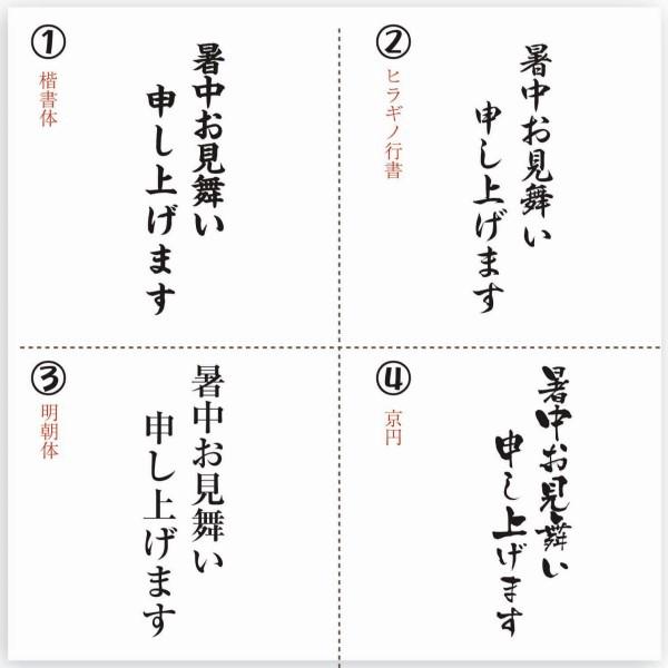 暑中見舞いはんこ 2行印 タテ型 夏 手紙 ハガキ 残暑見舞い変更可 Syotyumimai ゴムケンのお手軽スタンプ E Store 通販 Yahoo ショッピング