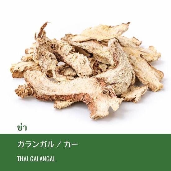 タイ ガランガル 20g カー : ロンナムチャチェンマイ Yahoo!店 - 通販