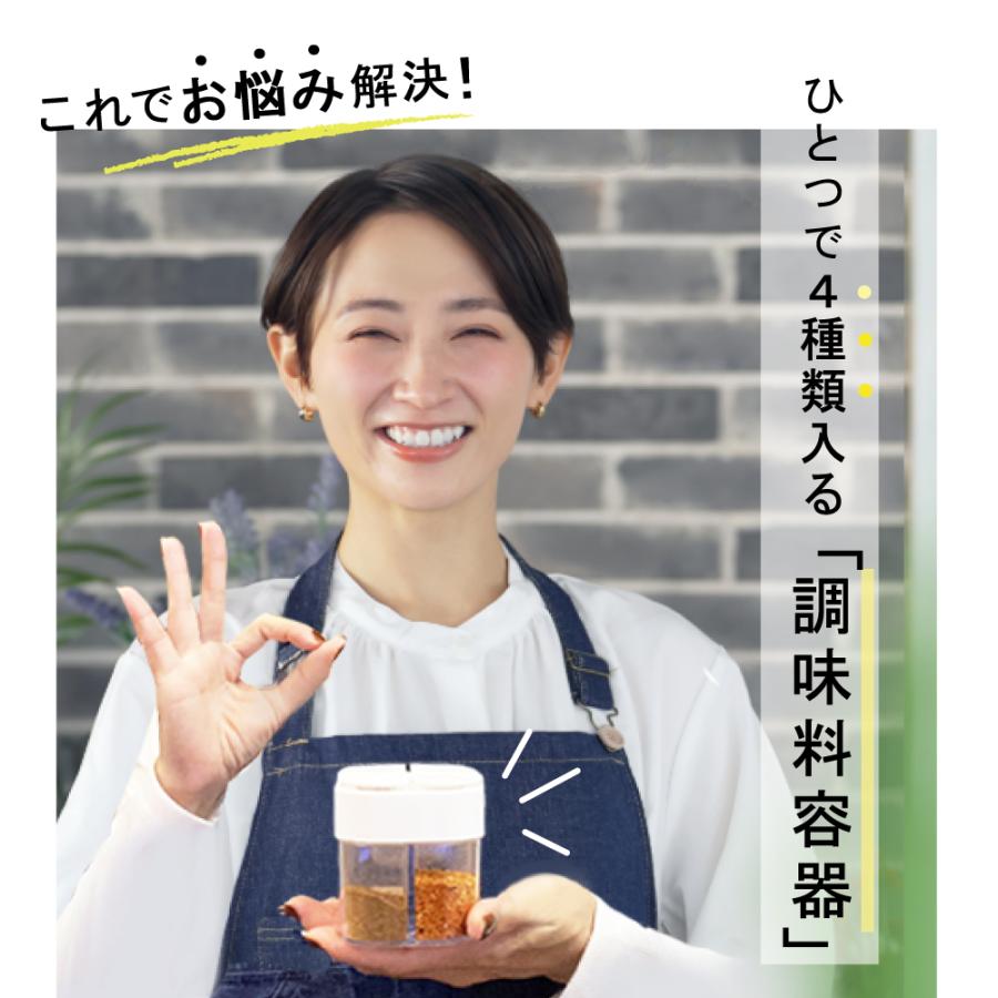 調味料入れ スパイスボトル 4種類 4in1 おしゃれ 持ち運び キッチン