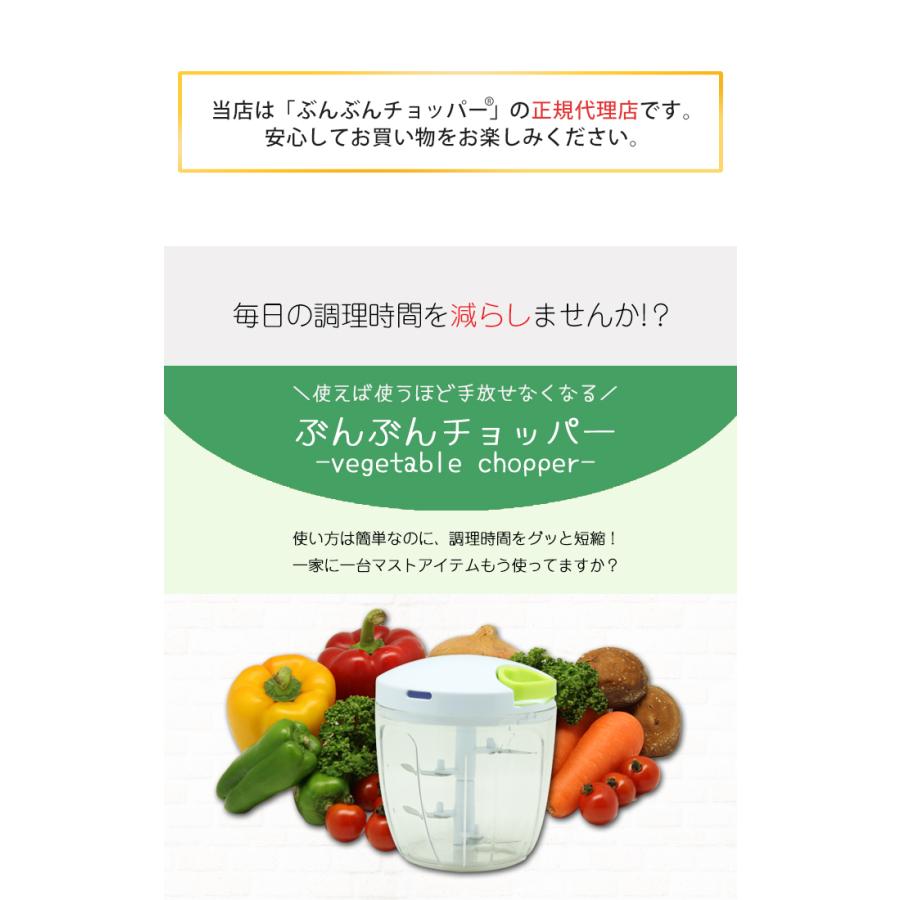 大容量900ml ふたも洗える ぶんぶんチョッパー 5 5枚刃 みじん切り器