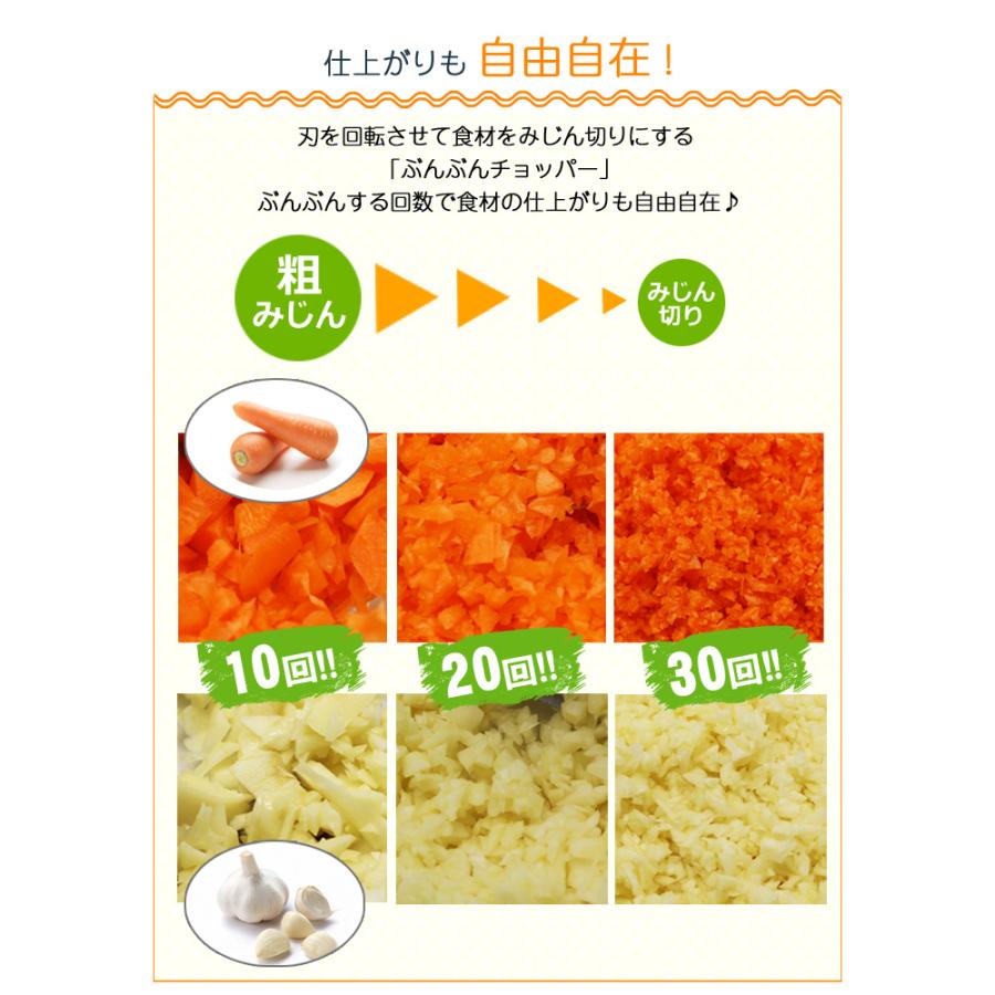 ふたも洗える ぶんぶんチョッパー 3個セット 12種のレシピ入