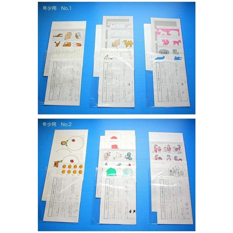 簡易包装版幼児知能教育教材 キディトレイン年少用(3~4才児向け)全30教材 キディトレイン年少用 4才児向け 全30教材