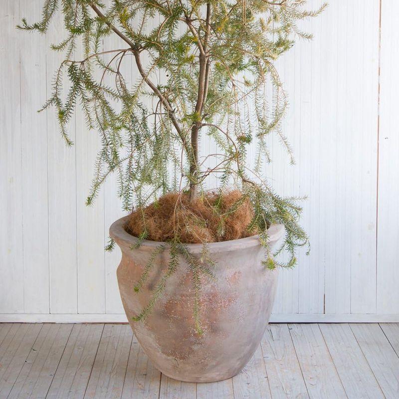 植木鉢 大型 テラアスタ ベーガ M 13号 13号 植木鉢 大型 テラアスタ ベーガ