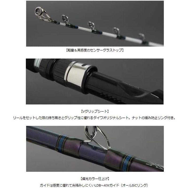 ダイワ(DAIWA) 船竿 ディーオ TSG 120-200 釣り竿 DGJ1532512298(14358円)