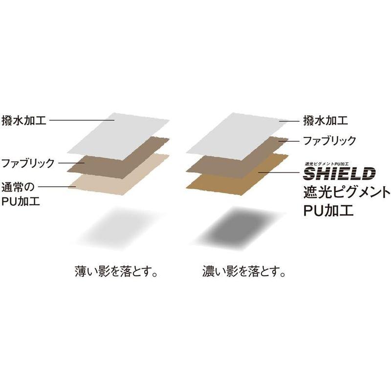 海外品 スノーピーク(snow peak) HDタープ シールド ヘキサエヴォ Pro. TP-250R 【9094441100】(31873円)