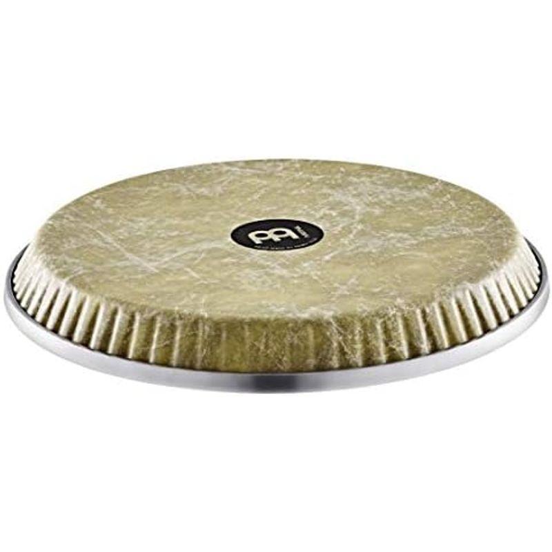 パーカッション MEINL Percussion マイネル コンガヘッド REMO Conga Head 11" Quinto RHEAD-11NT 国内正｜chaco-2｜02