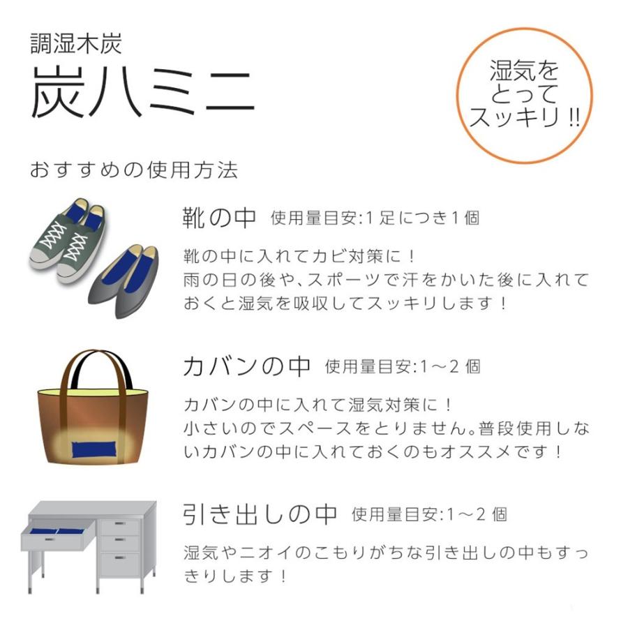 炭八 ミニ（赤）1セット2本 ミニ 靴用 調湿木炭 梅雨対策 湿気対策