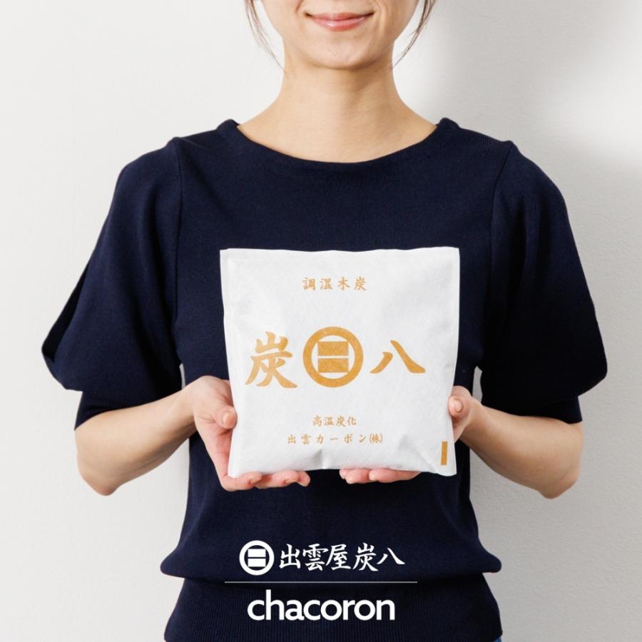 炭八 3L×5袋セット（おまけスマート小袋×2袋） 3L 小袋 調湿木炭 梅雨