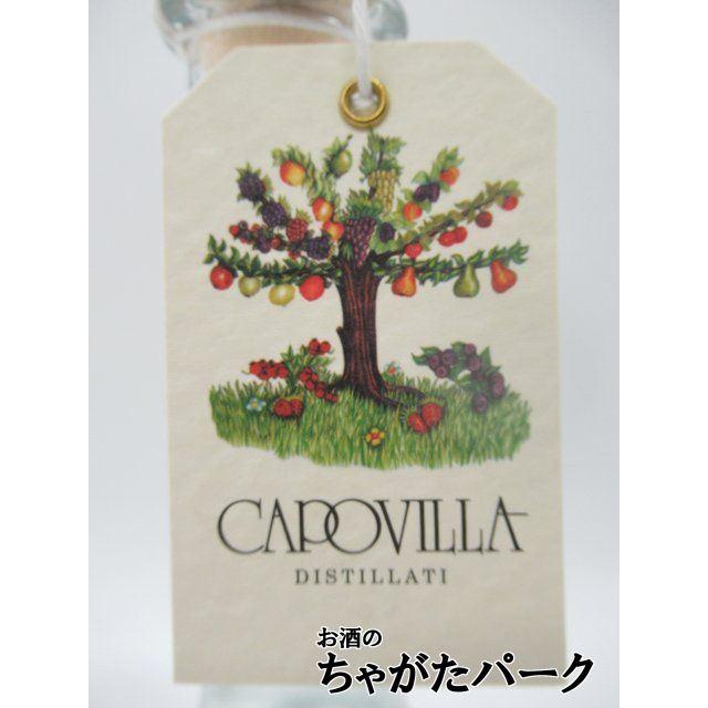 カポヴィッラ アプリコット 2016 フルーツブランデー 41度 500ml_1