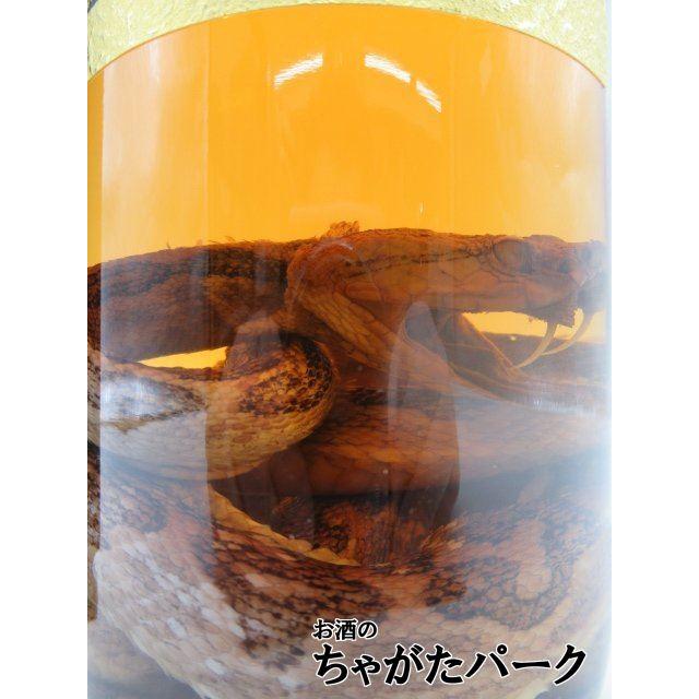 ハブ入り】 【限定品】 南都酒造 億万長蛇 ハブ入り酒 35度 ハブ入り】 【限定品】 南都酒造 億万長蛇 ハブ入り酒 35度