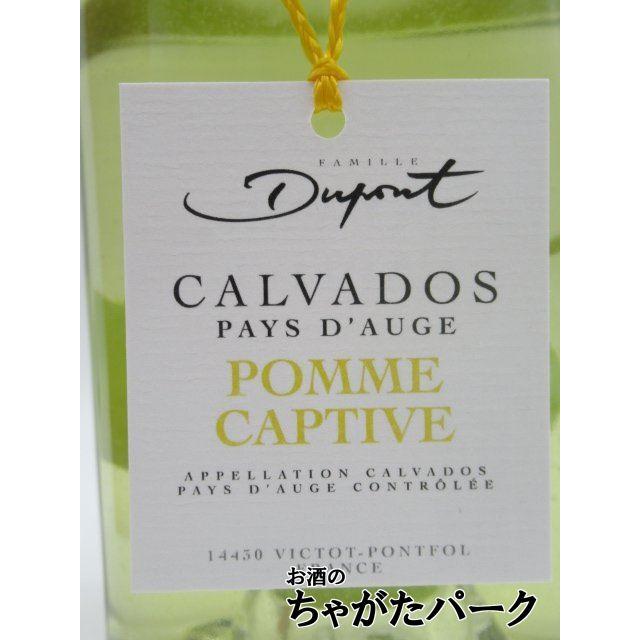 デュポン キャプティブ カルヴァドス 実入り 正規品 40度 700ml : お酒